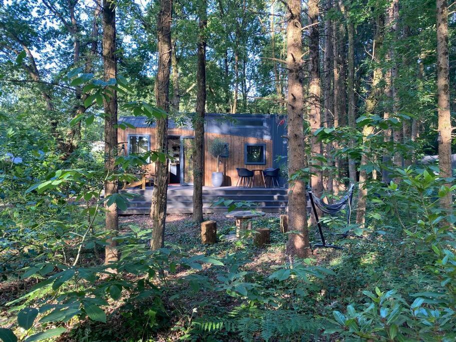 Tiny House Sur Terrain Boise A 10 Mn De La Ferel